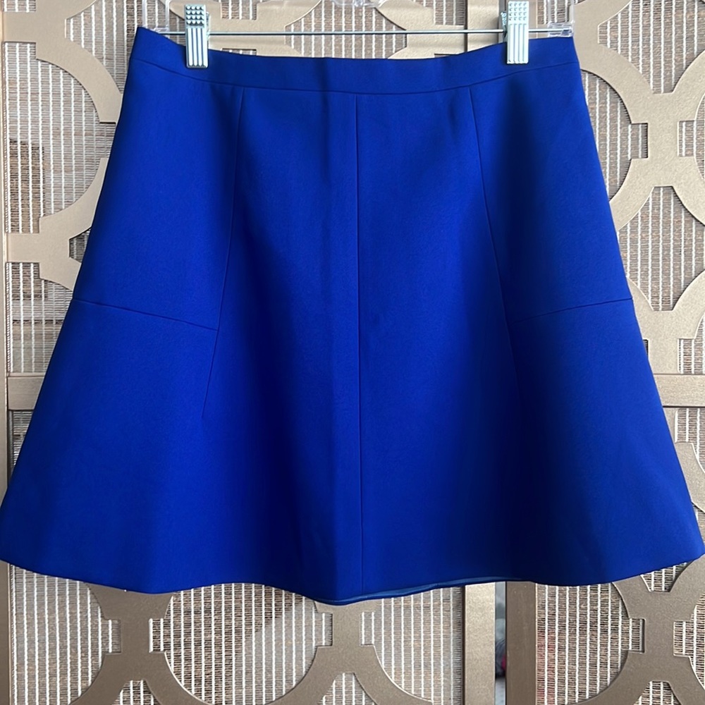 JCrew Blue Skirt